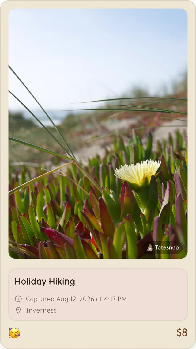 Totesnap share card sized for a vertical story