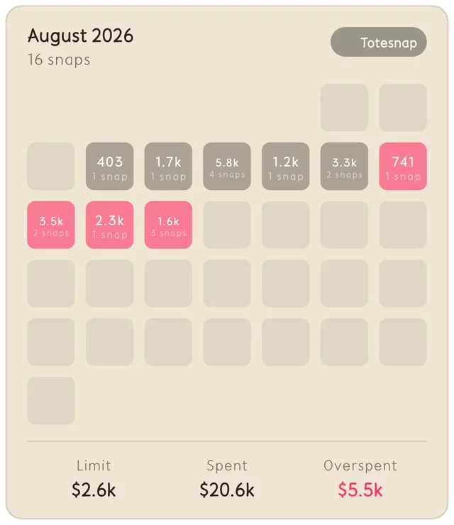 Totesnap share card recapping a month of spending as a colour grid